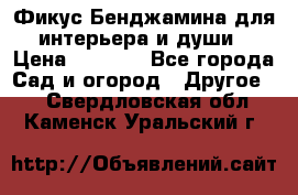 Фикус Бенджамина для интерьера и души › Цена ­ 2 900 - Все города Сад и огород » Другое   . Свердловская обл.,Каменск-Уральский г.